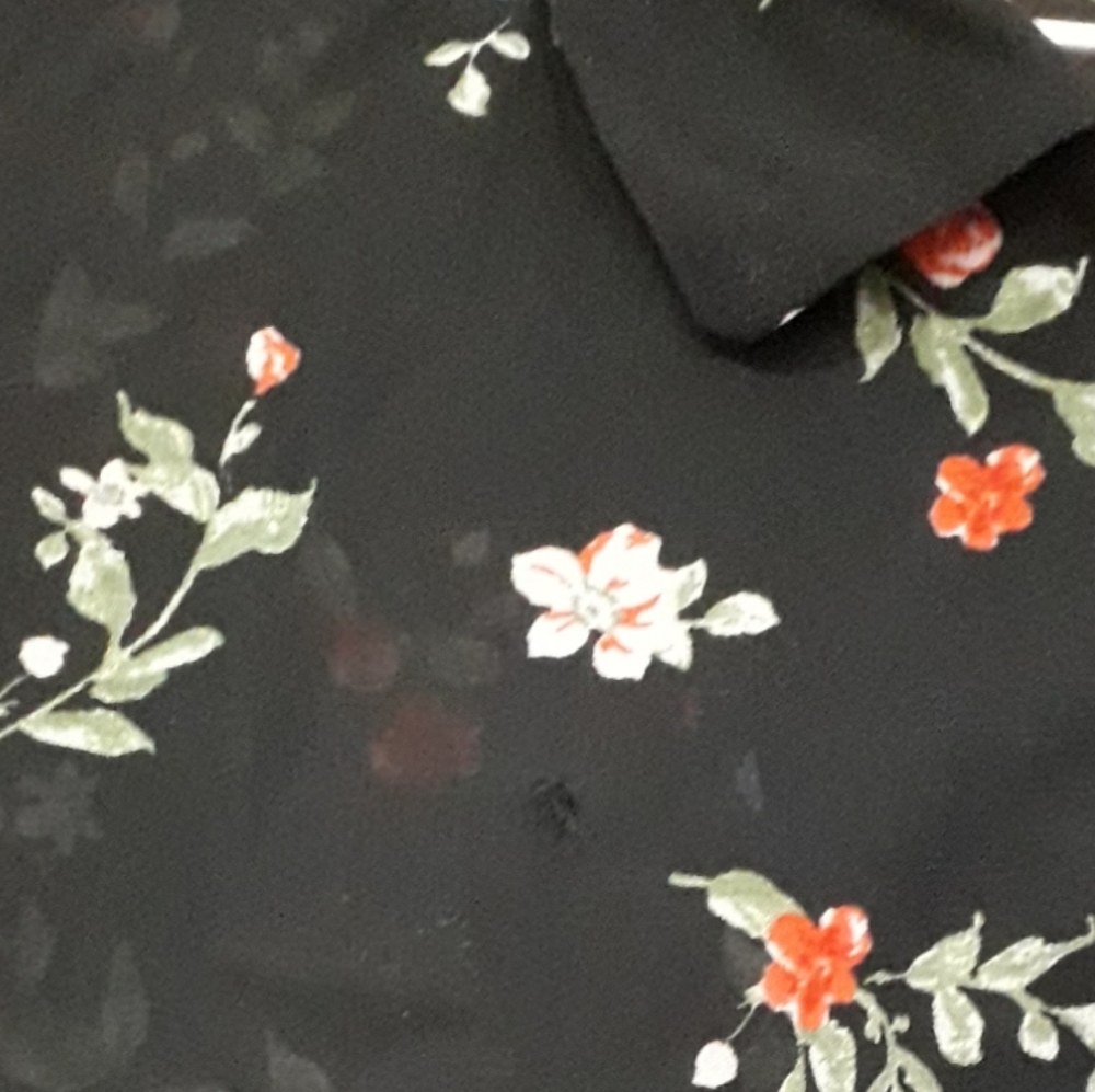 🍁 sheer shirt - Picture 4 of 6